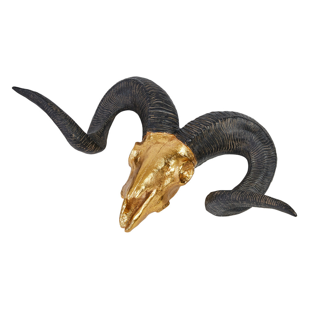 Widderkopf XXL Wanddekoration | 64 cm | Gold - Hansmeier