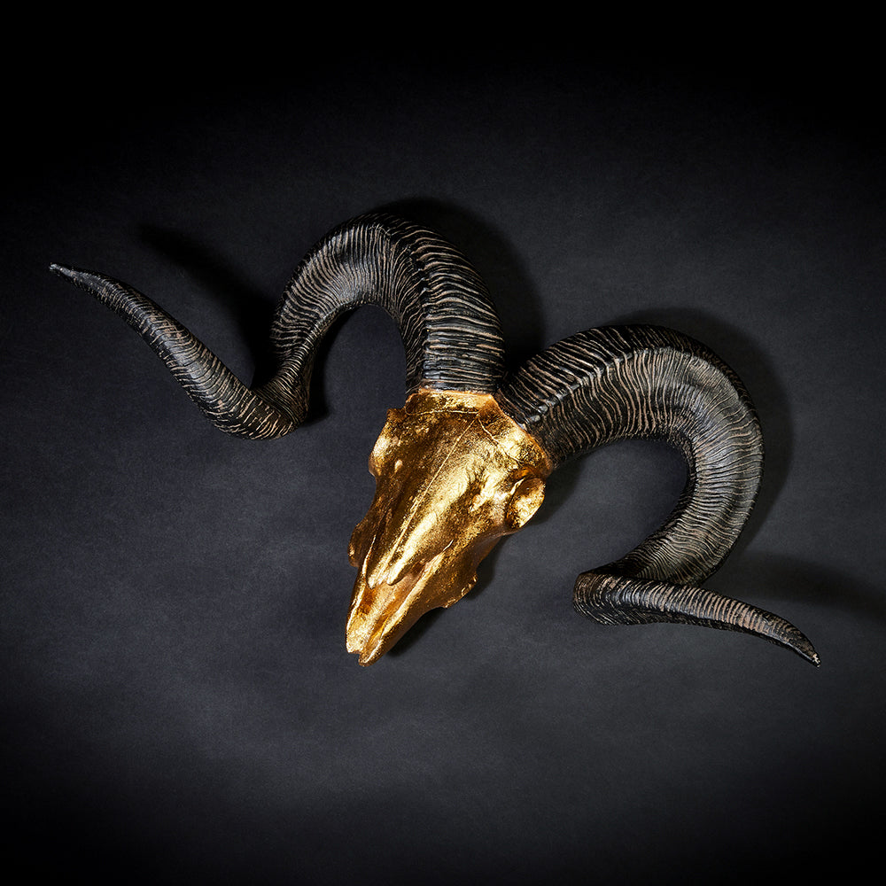 Widderkopf XXL Wanddekoration | 64 cm | Gold - Hansmeier