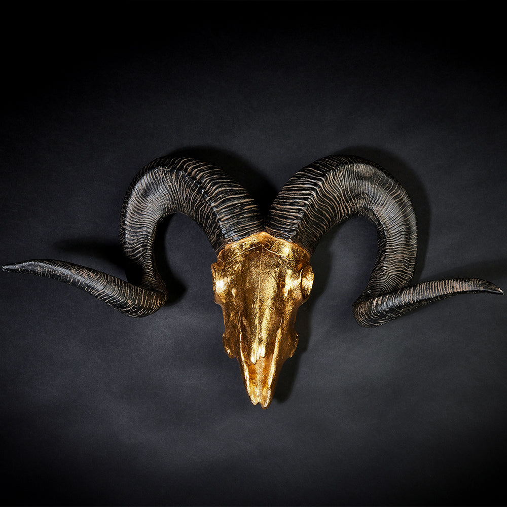 Widderkopf XXL Wanddekoration | 64 cm | Gold - Hansmeier