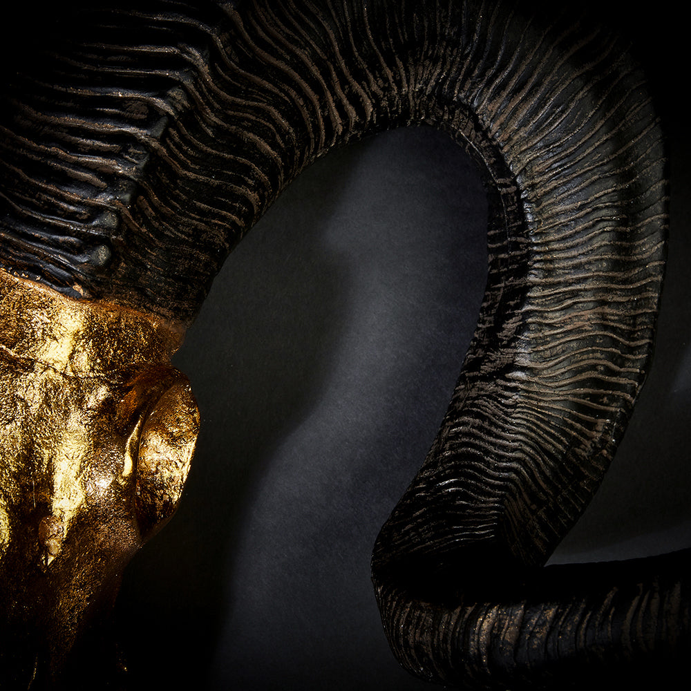 Widderkopf XXL Wanddekoration | 64 cm | Gold - Hansmeier