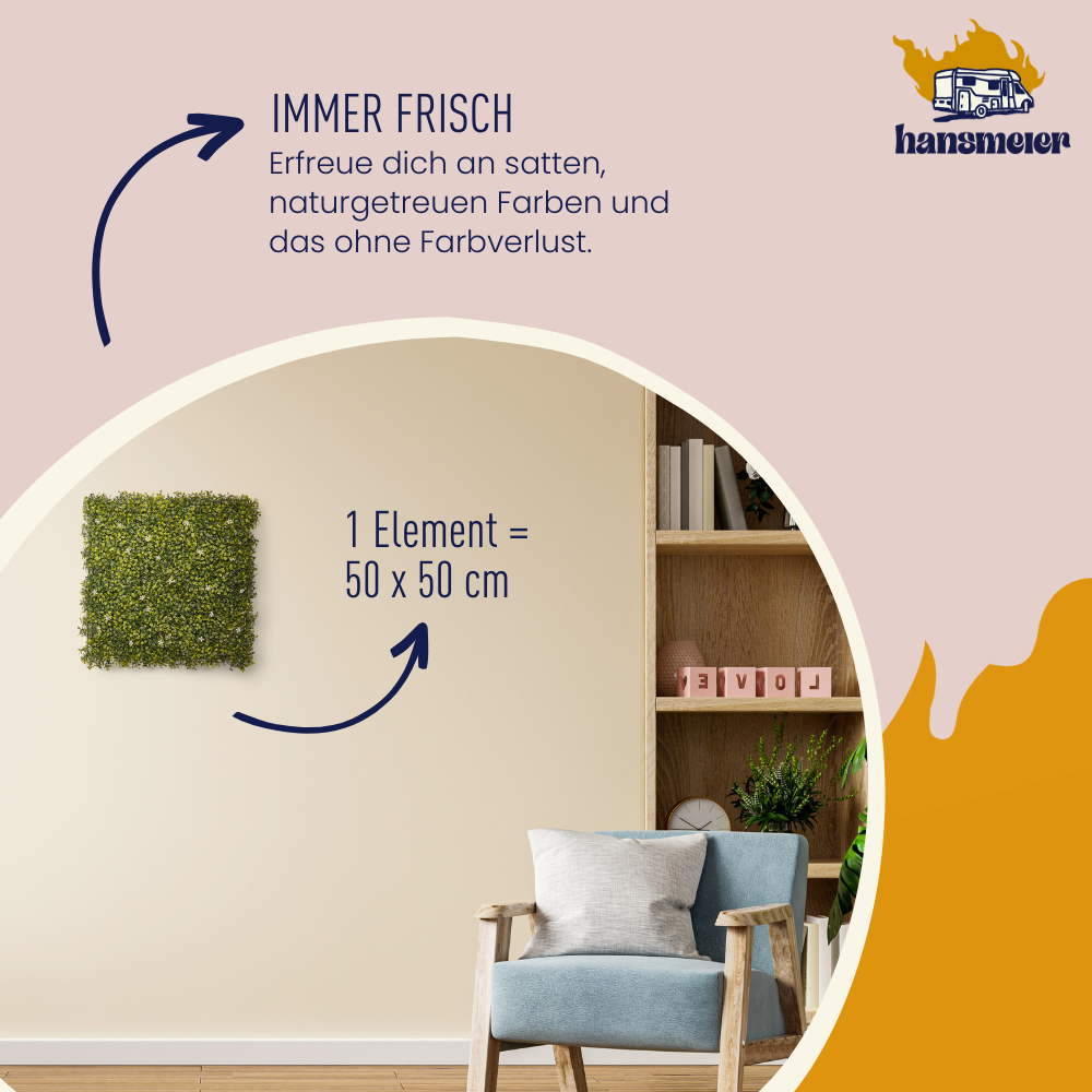 Pflanzenwand Modell Buchsbaum | Pflanzenwand | 50 x 50 cm - Hansmeier