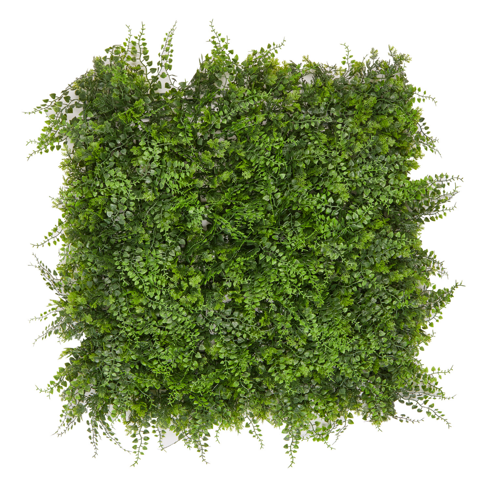 Pflanzenwand Modell Farn | 50 x 50 cm | Wand-Dekoration - Hansmeier