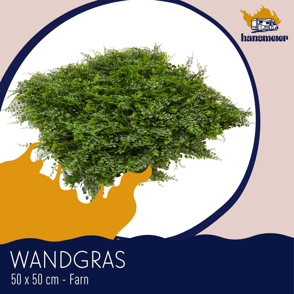 Pflanzenwand Modell Farn | 50 x 50 cm | Wand-Dekoration - Hansmeier