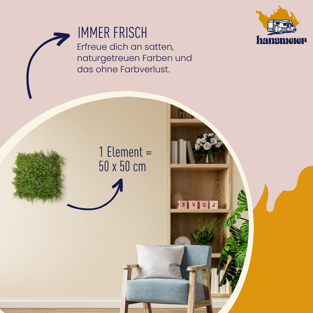 Pflanzenwand Modell Farn | 50 x 50 cm | Wand-Dekoration - Hansmeier