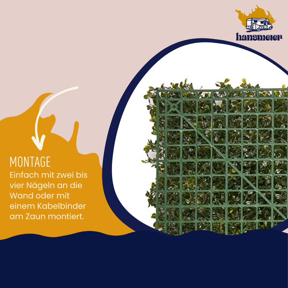 Pflanzenwand Modell Farn | 50 x 50 cm | Wand-Dekoration - Hansmeier