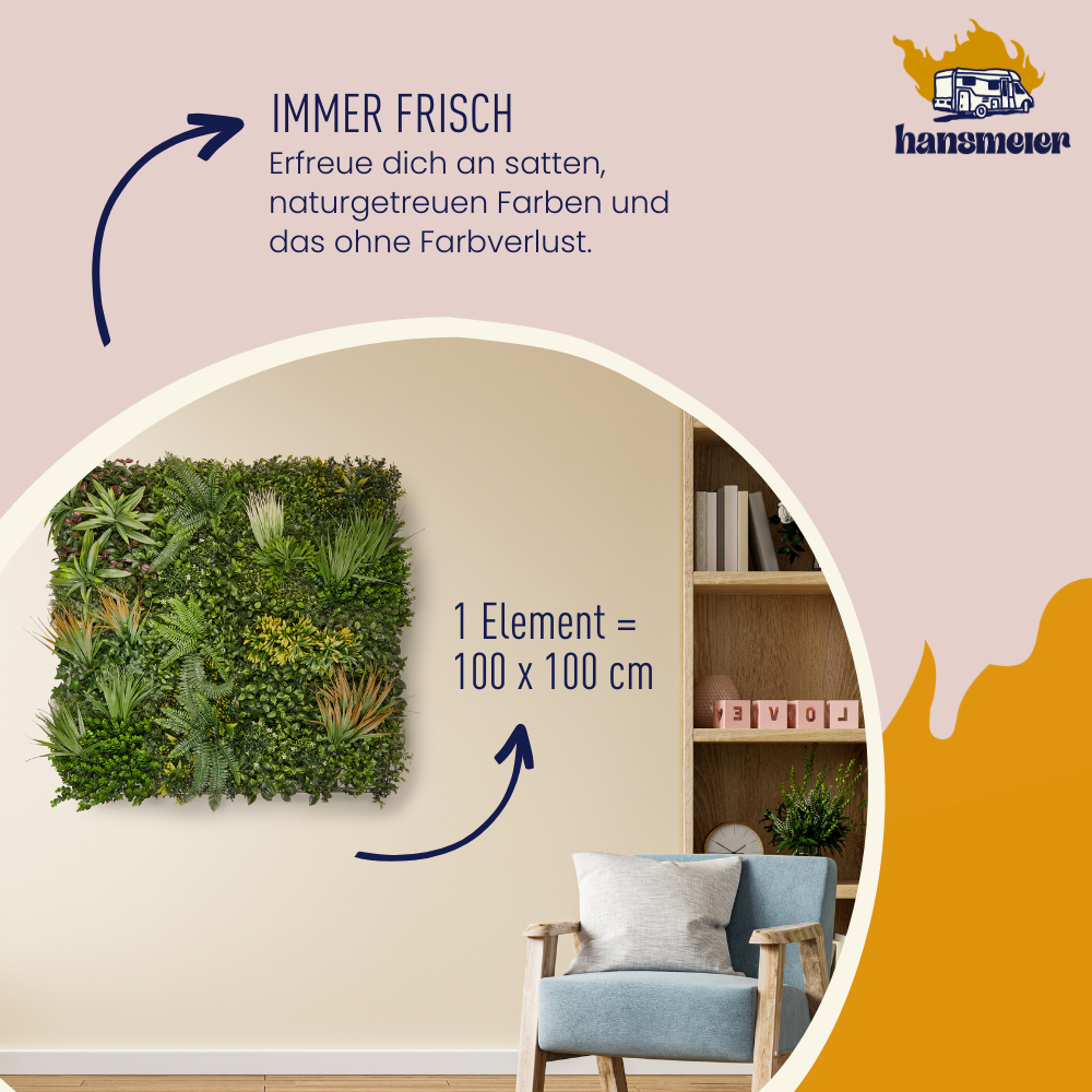 Wandgras große Frühlingspracht | Pflanzenwand | 100 x 100 cm - Hansmeier