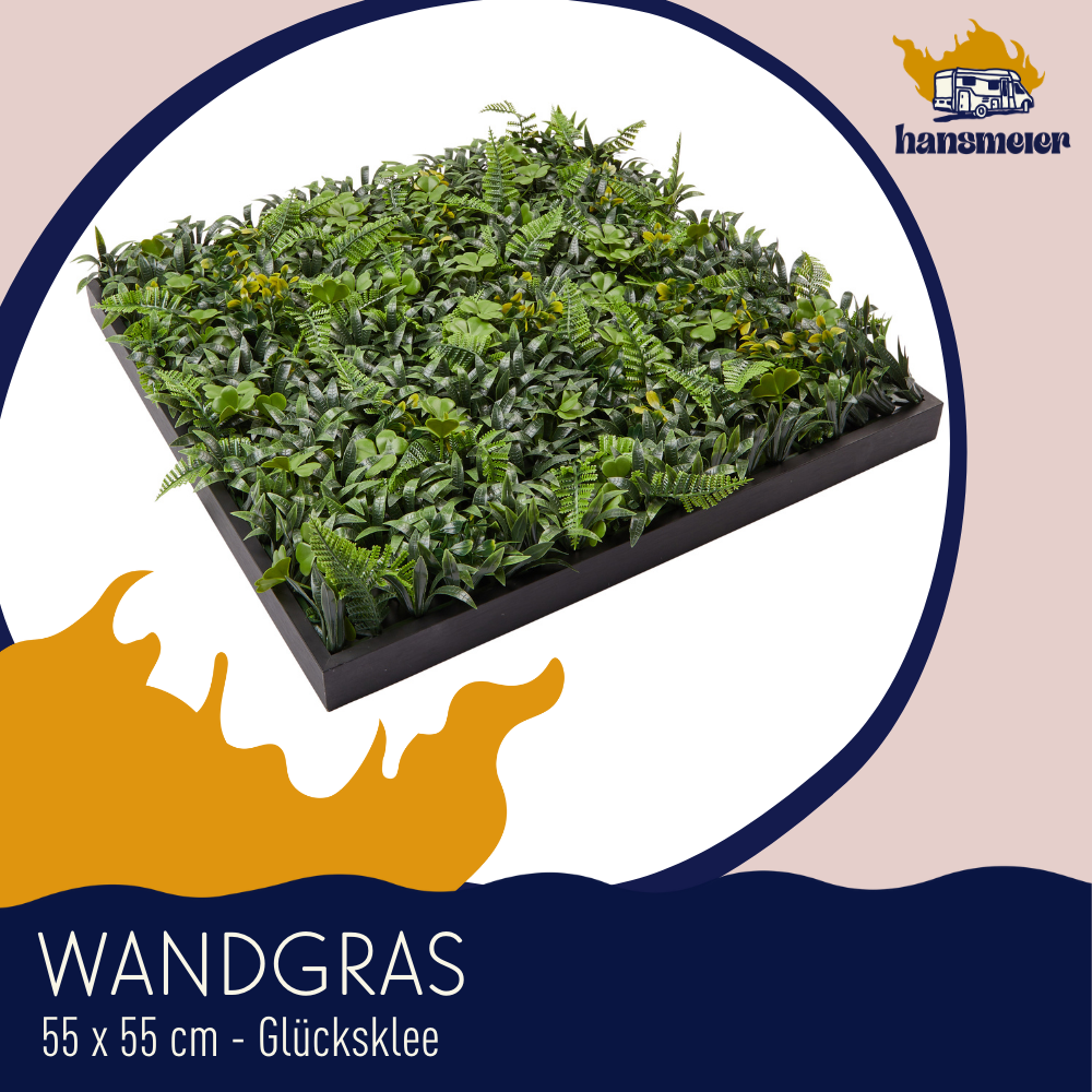 Wandgras Glücksklee gerahmt | Pflanzenwand | 55 x 55 cm - Hansmeier