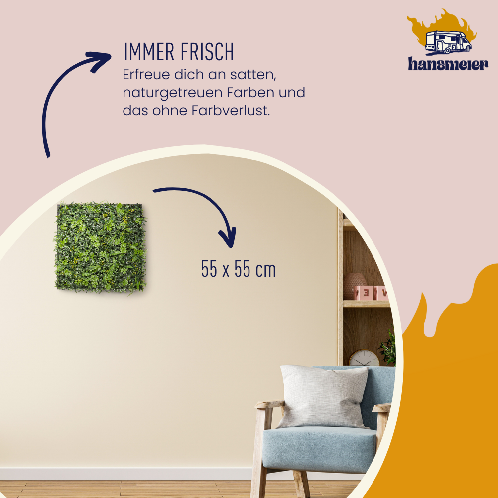 Wandgras Glücksklee gerahmt | Pflanzenwand | 55 x 55 cm - Hansmeier