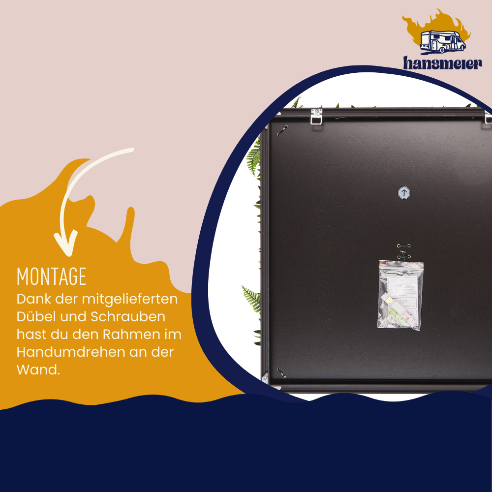 Wandgras Glücksklee gerahmt | Pflanzenwand | 55 x 55 cm - Hansmeier