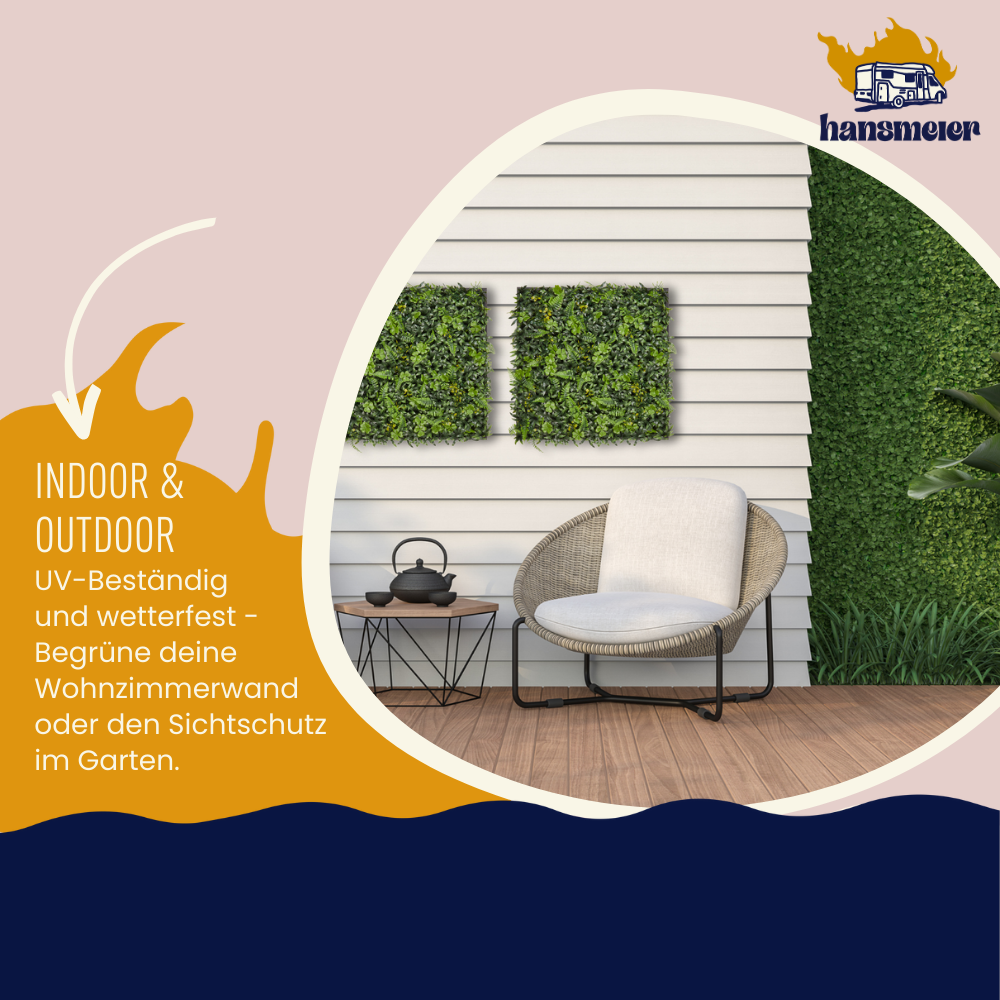 Wandgras Glücksklee gerahmt | Pflanzenwand | 55 x 55 cm - Hansmeier