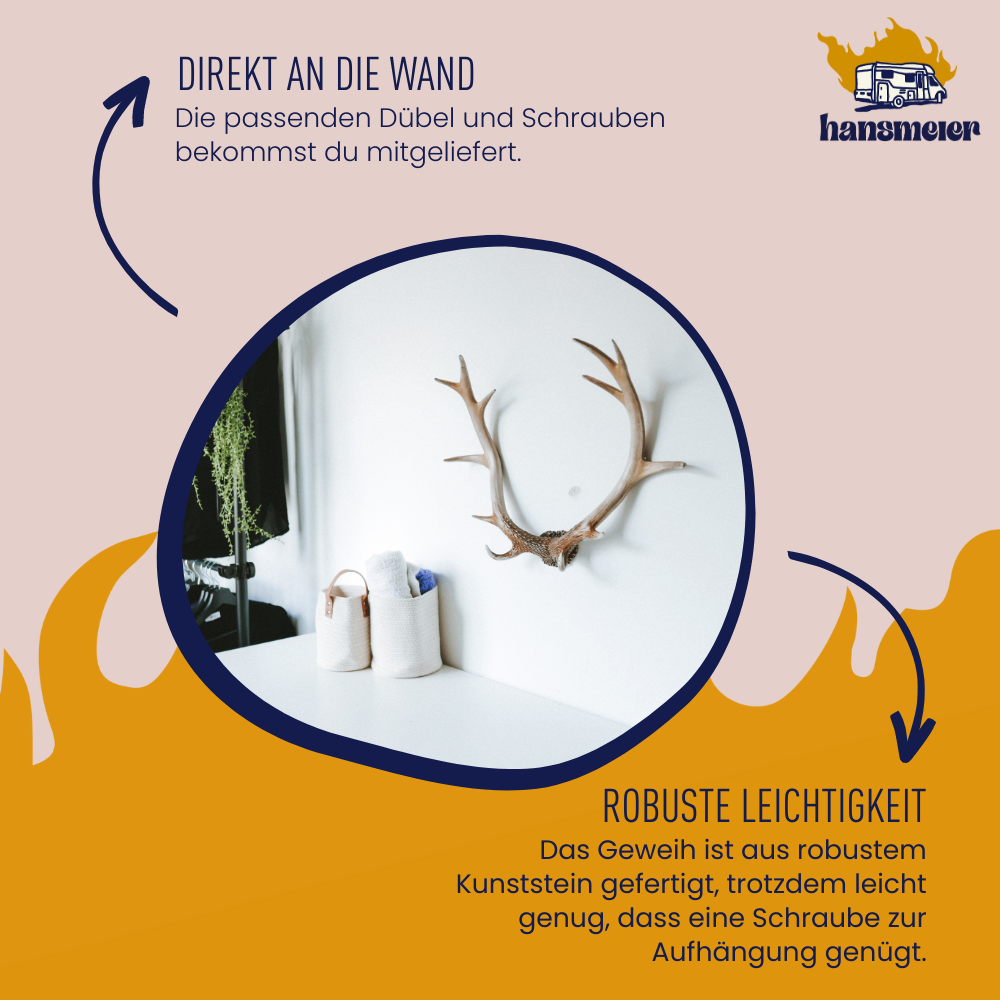 Wanddeko Hirsch-Geweih Rustikal | Vintage | 54 x 40 x 14 cm - Hansmeier