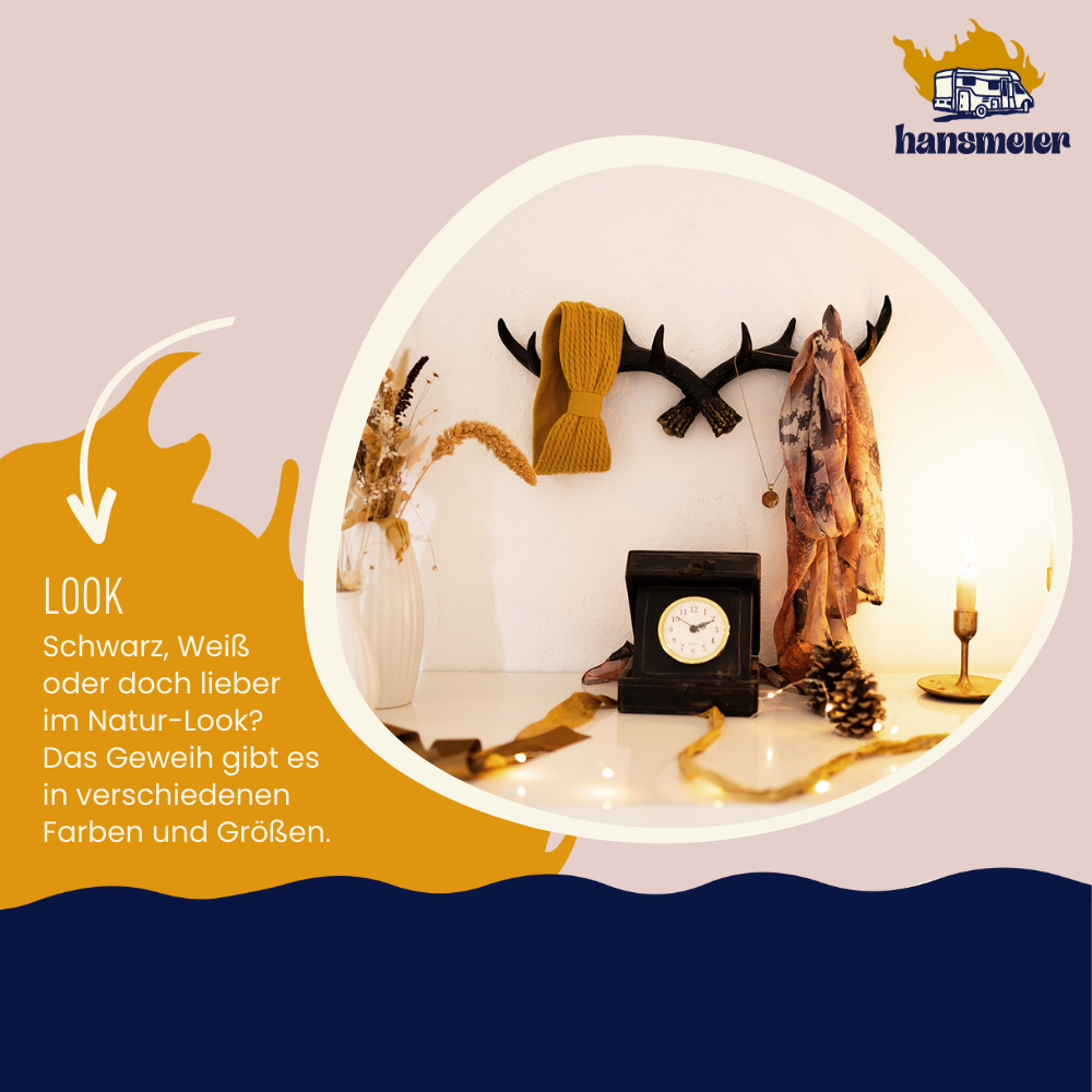 Geweih Garderobe | 49 cm | Schwarz | Kleiderhaken - Hansmeier