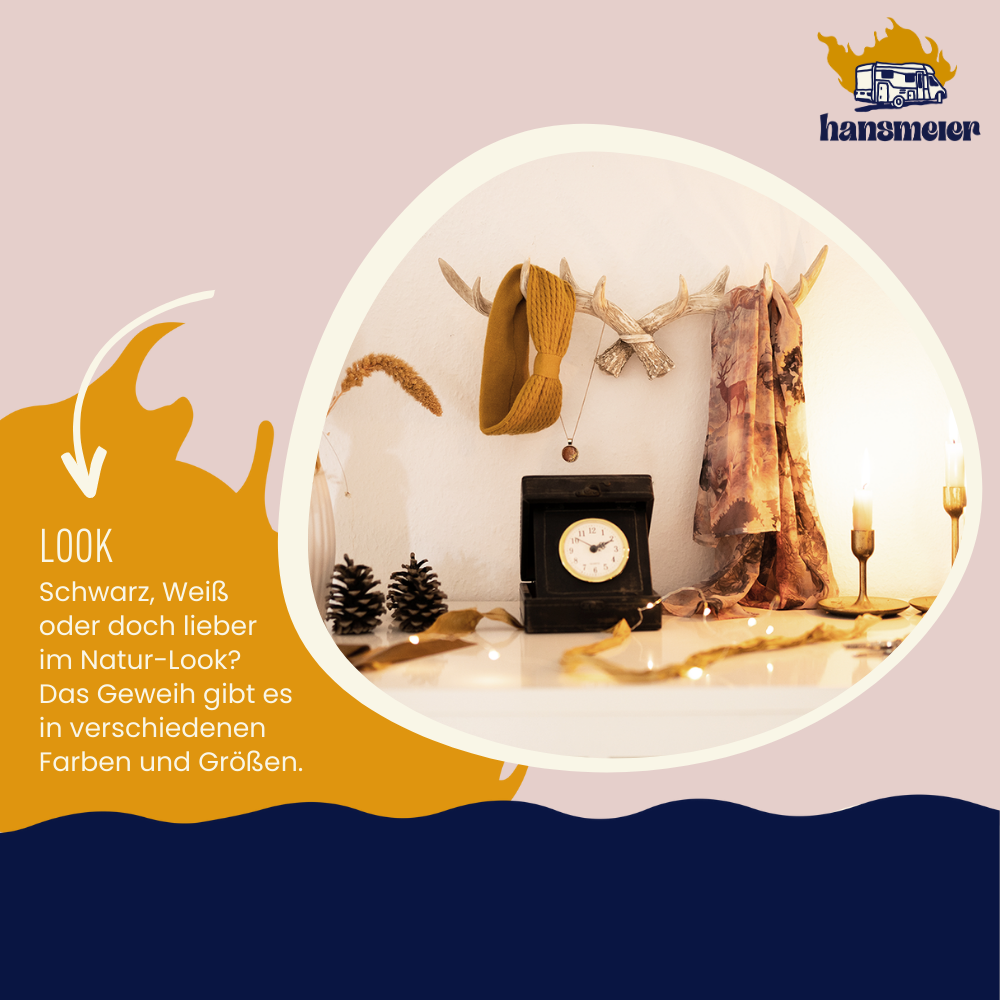 Geweih Garderobe | 49 cm | Vintage Natur | Kleiderhaken - Hansmeier