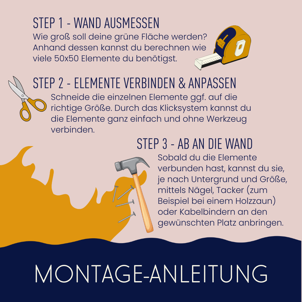 Pflanzenwand Modell Farn | 50 x 50 cm | Wand-Dekoration - Hansmeier