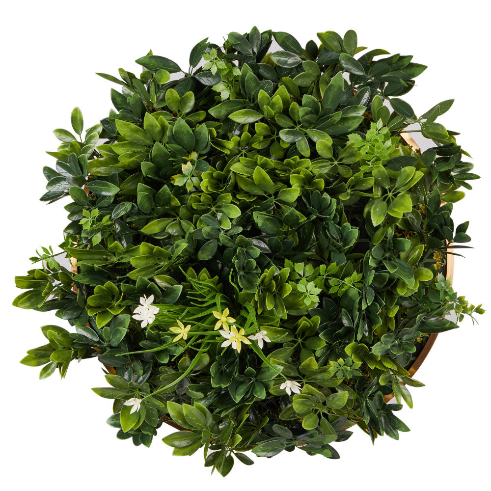 Wandgras Narzissen gerahmt | Pflanzenwand | 54 x 54 cm - Hansmeier