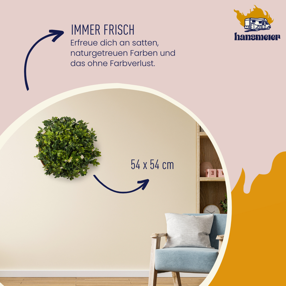 Wandgras Narzissen gerahmt | Pflanzenwand | 54 x 54 cm - Hansmeier