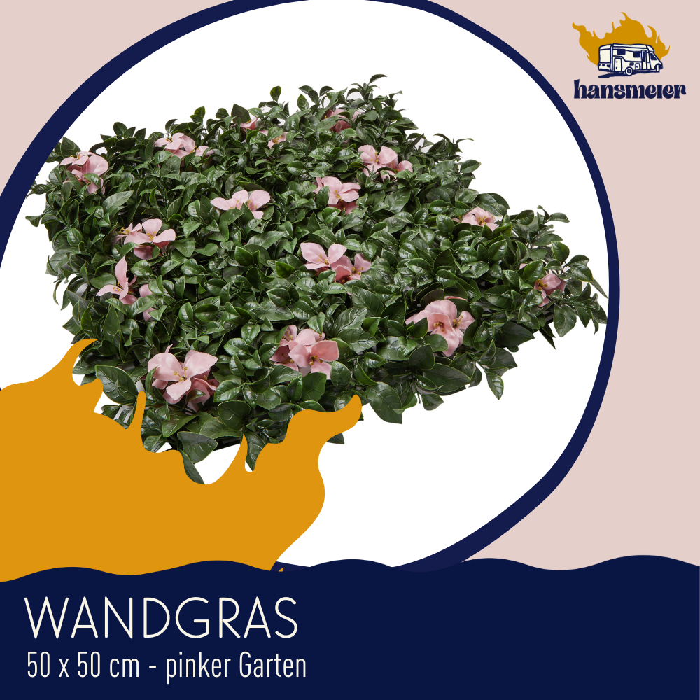 Wandgras Pinker Garten | Pflanzenwand | 50 x 50 cm | Wand-Dekoration - Hansmeier