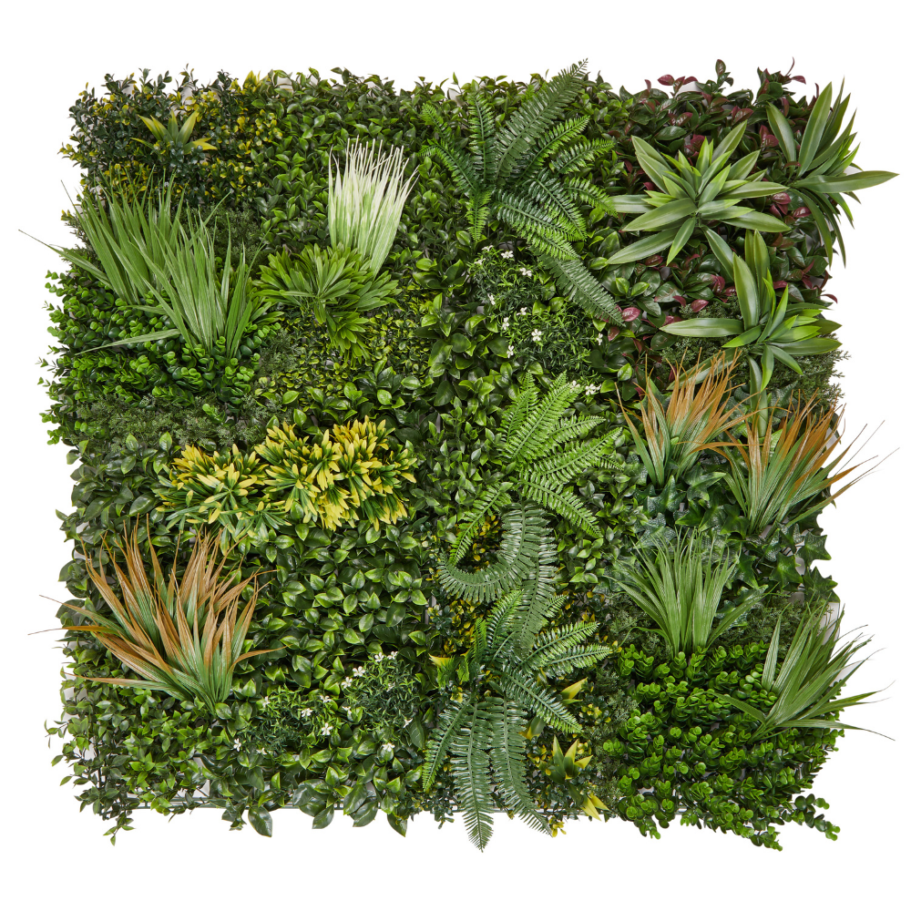 Wandgras große Frühlingspracht | Pflanzenwand | 100 x 100 cm - Hansmeier 